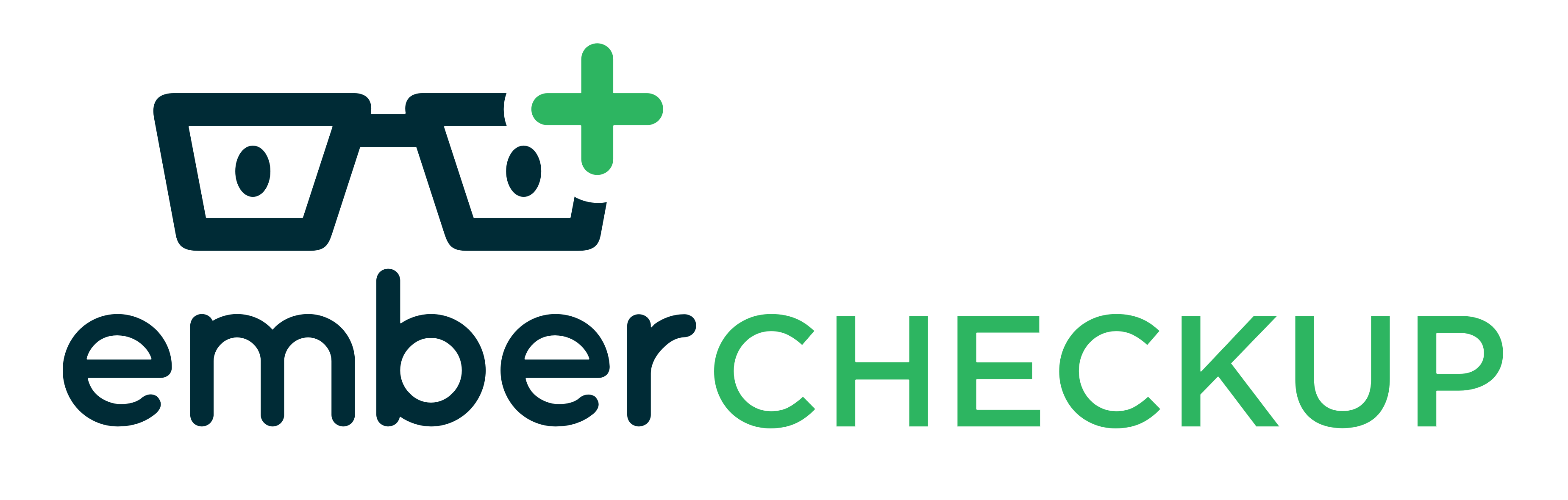 Ember Checkup logo